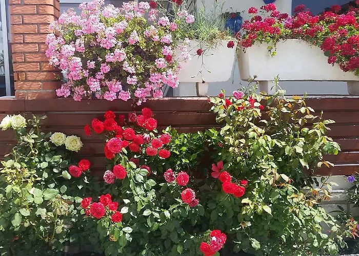 Yelken - Adult Only Urla