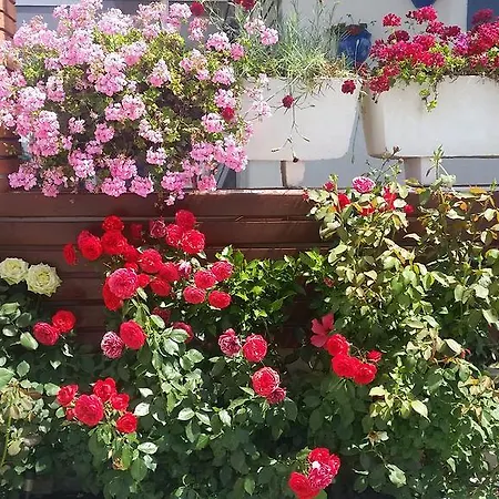 Yelken - Adult Only Urla